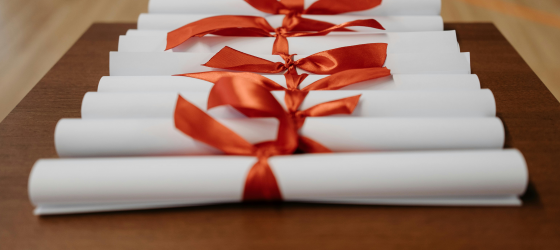 Vincitori Borse IANUA